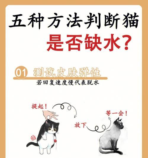 猫咪缺水时会影响进食吗？