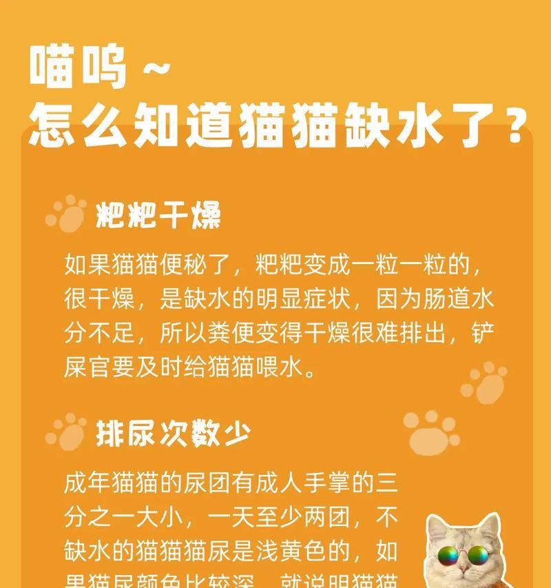 猫咪缺水时会影响进食吗？