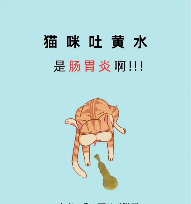 猫咪吐猫粮后又吐黄水是什么原因？需要看兽医吗？