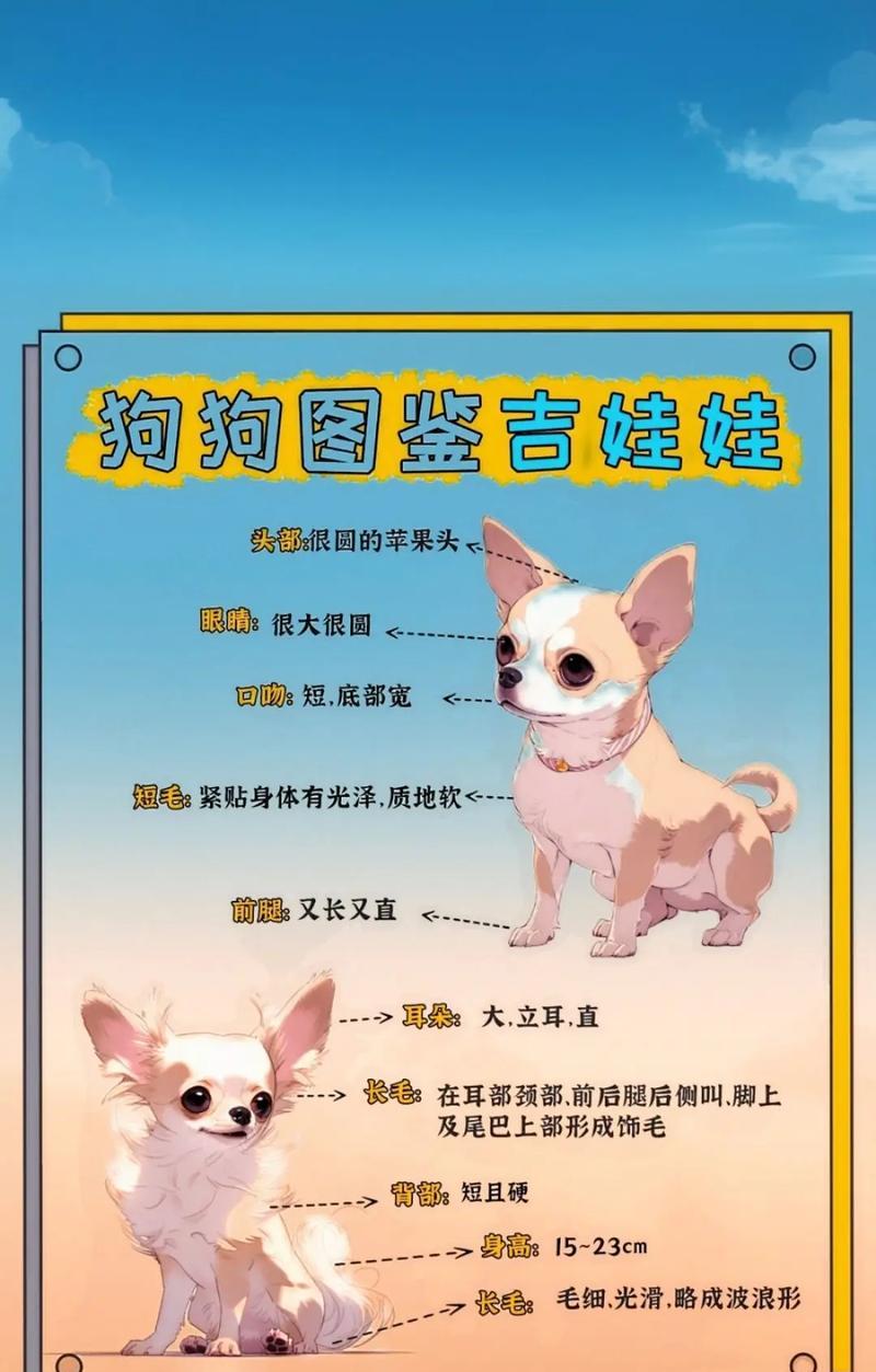 一个月大的吉娃娃体重应该是多少？