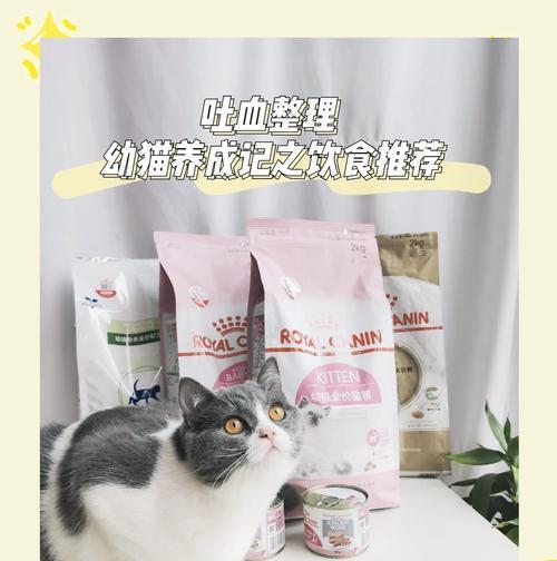 幼猫吃什么猫粮能快速成长？
