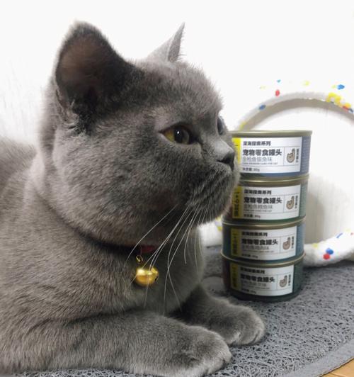什么猫能吃饭不吃猫粮？只吃罐头的猫有什么特点？