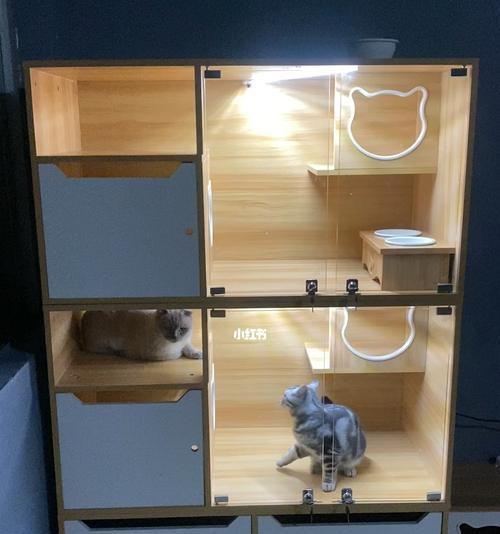 如何自制猫粮收纳小柜子？