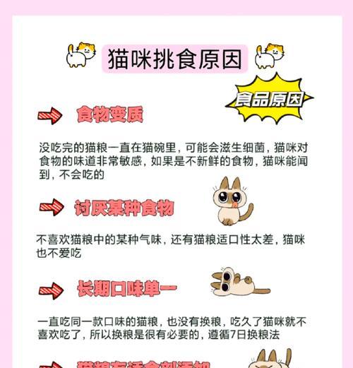 小猫挑食猫粮怎么办？可能的原因有哪些？