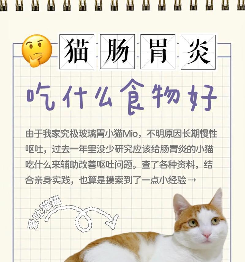 奶猫呕吐拉稀但精神好时应喂食什么？