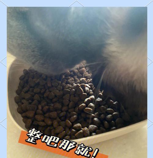 猫粮掉在窗帘下怎么清理？