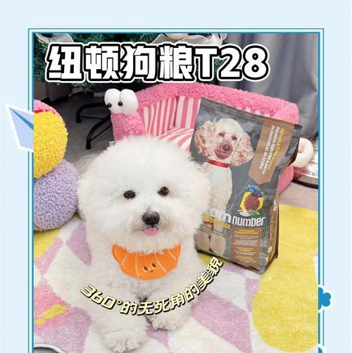 比熊吃什么猫粮最好吃又健康？如何为比熊选择合适的猫粮？