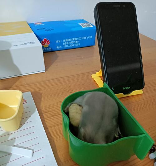 猫粮对老鼠健康的影响？