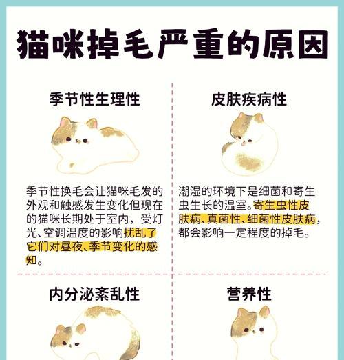 流浪猫吃猫粮掉毛是为什么？