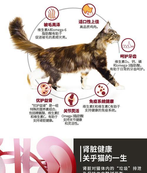 贵族猫粮的质量如何？它有哪些特点和优点？
