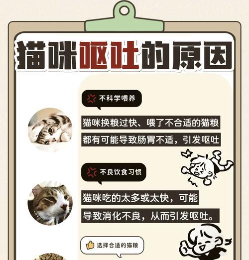 猫换粮吐了应该怎么办？如何减少换粮不适？