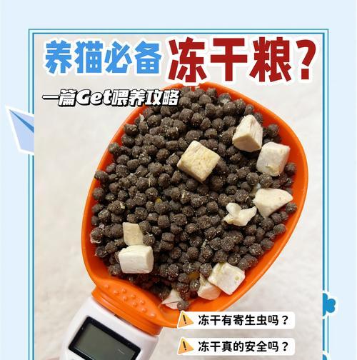 东干猫粮的由来及其特点是什么？