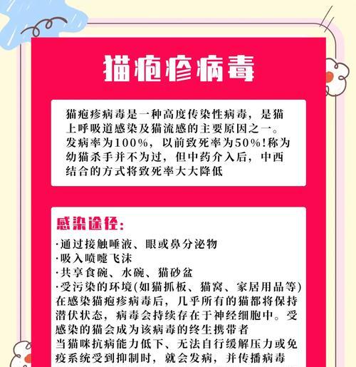 猫吃猫粮呛鼻子里怎么回事？如何预防和处理？