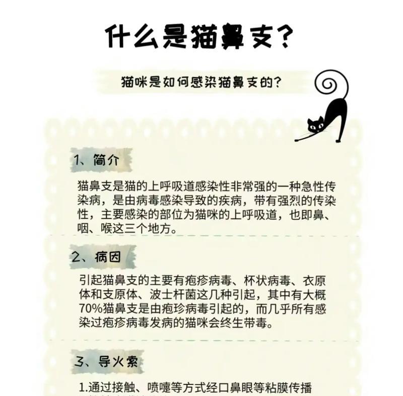 猫吃猫粮呛鼻子里怎么回事？如何预防和处理？