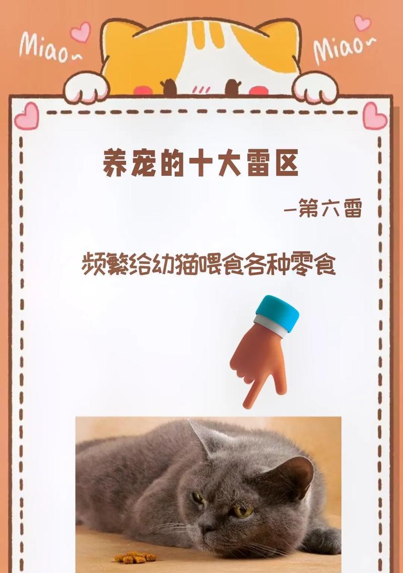 成猫粮喂幼猫会有什么问题及解决办法？