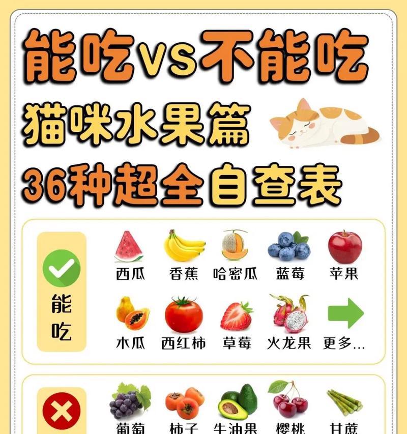感觉猫咪猫粮不够吃怎么办？如何判断和解决猫粮不足的问题？