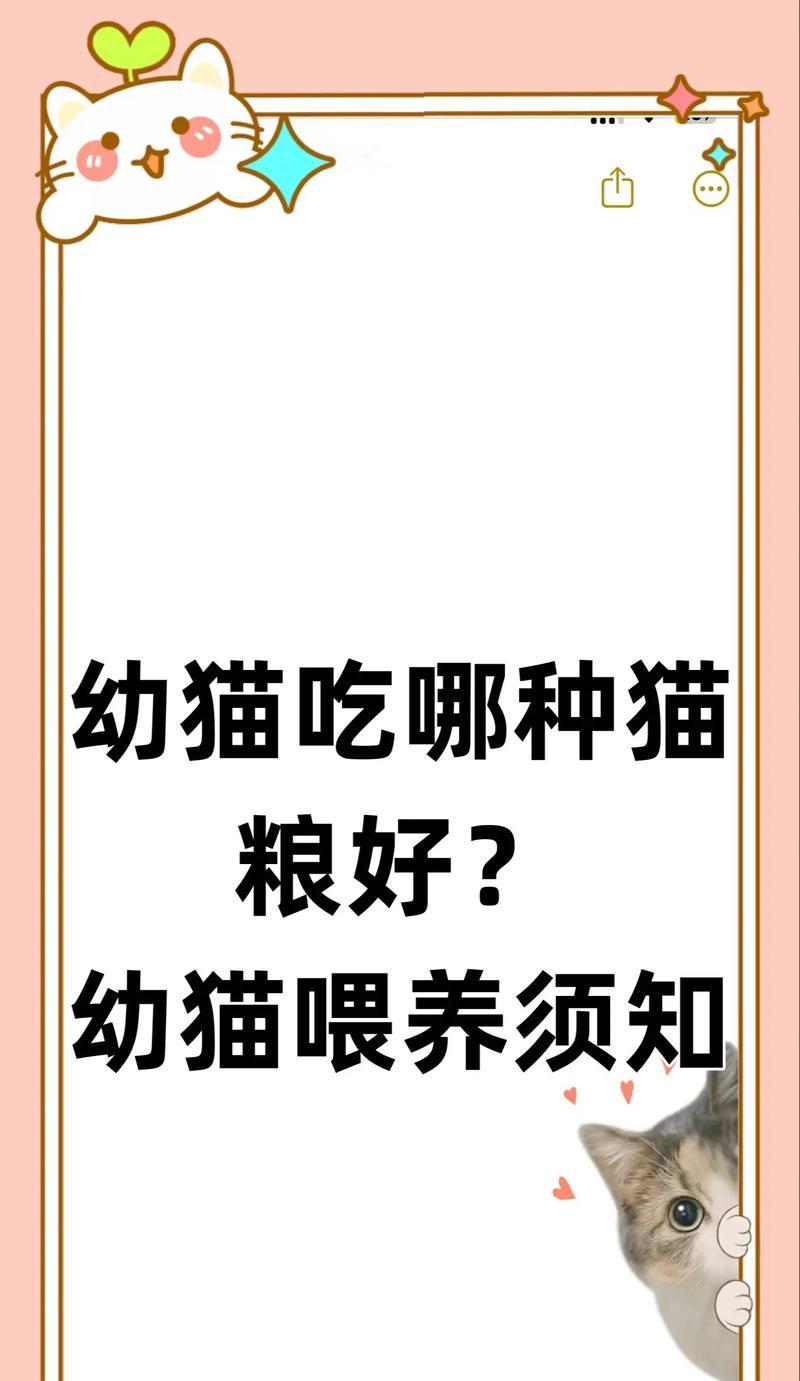 幼猫怎么喂猫粮？幼猫喂猫粮需要注意什么？