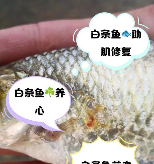 白条鱼吃猫粮吗会死吗？这是为什么？