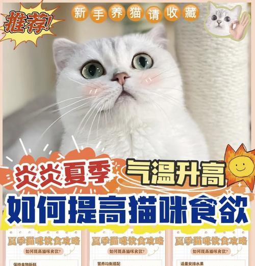 猫咪抑郁不吃猫粮怎么办？如何帮助抑郁的猫咪恢复食欲？