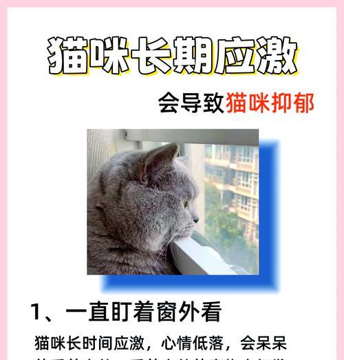 猫咪抑郁不吃猫粮怎么办？如何帮助抑郁的猫咪恢复食欲？