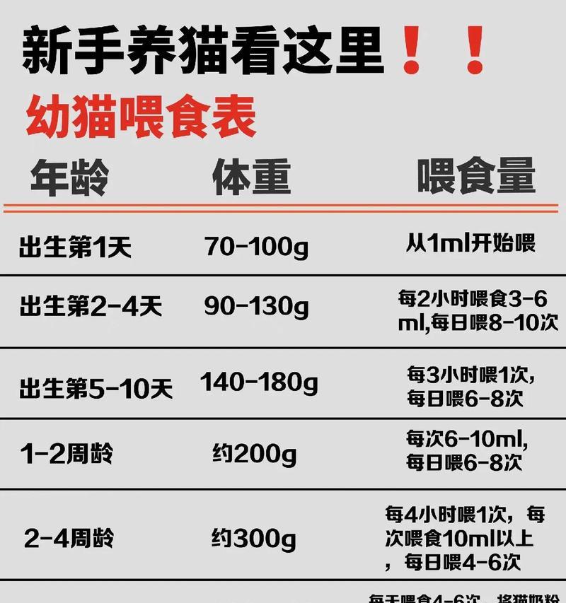 体重7斤的母猫应如何喂食猫粮？喂食量和频率应该是多少？