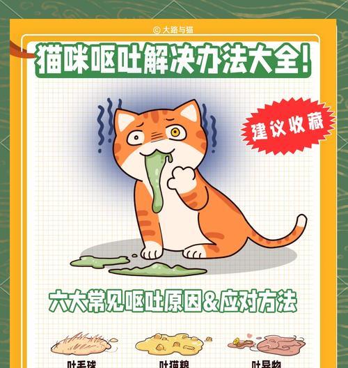 猫咪换食后呕吐是何原因？