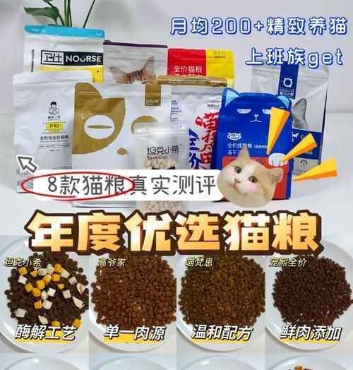 宣武市场哪里卖猫粮？如何找到宣武市场的猫粮店？
