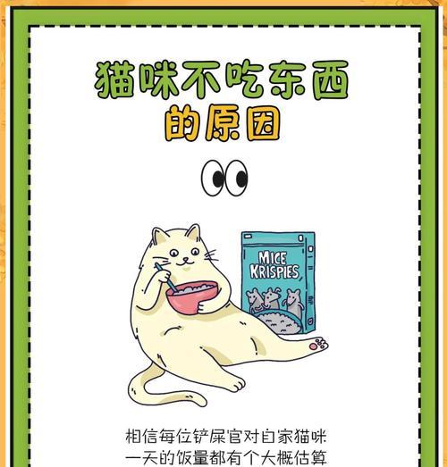 猫咪有猫粮却拒食？可能的原因有哪些？