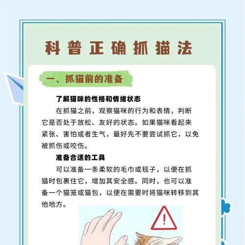 主人偷吃猫粮被猫攻击怎么办？如何避免？