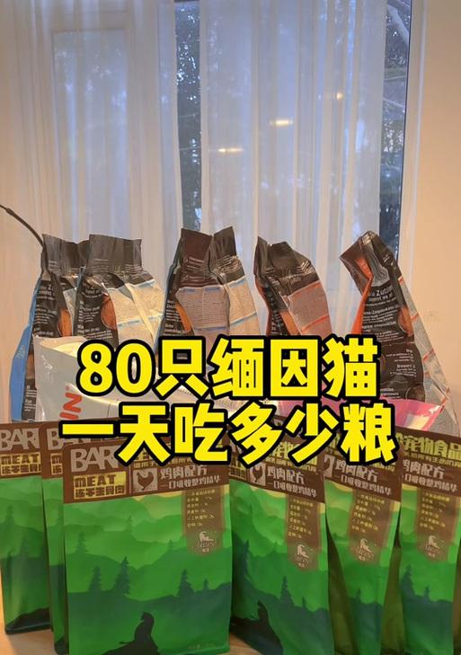 缅因猫爆毛期猫粮推荐？