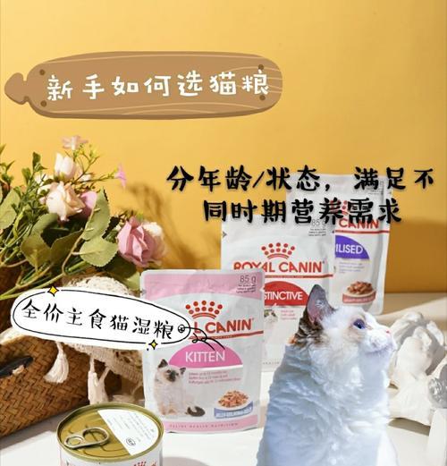 伟嘉猫粮湿粮喂食方法是什么？如何正确喂食湿粮？