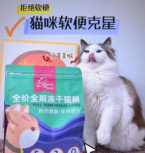 如何加速猫粮的消化过程？