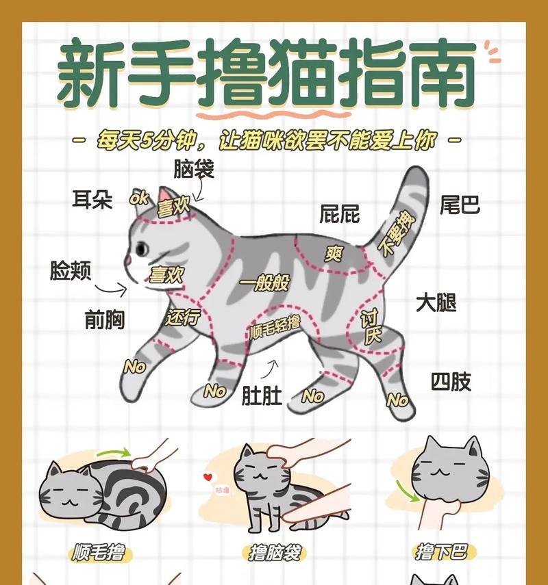 如何向他人表达为宠物猫挣取猫粮？
