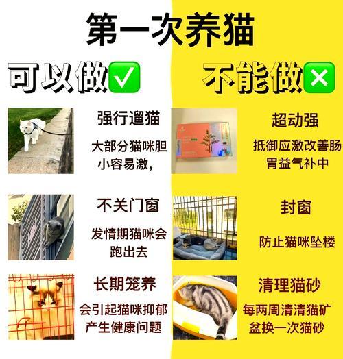 如何快速剪碎猫粮？有没有便捷的工具推荐？