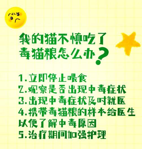 猫的呕吐物绿色带猫粮怎么办？是否需要立即就医？