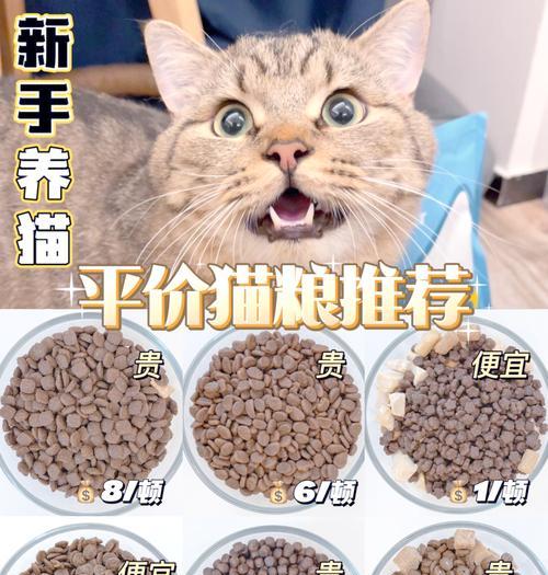 饭菜猫粮怎么样做的好吃？有哪些秘诀？