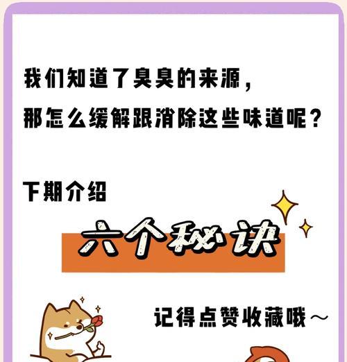 宠物狗体味重是什么原因？如何有效减轻？