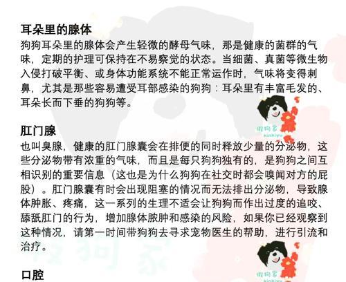 宠物狗体味重是什么原因？如何有效减轻？