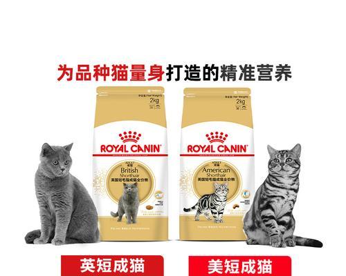 美国短蓝猫猫粮偏好？推荐品牌有哪些？