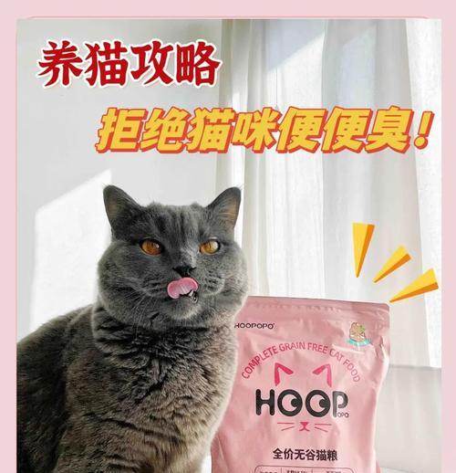猫粮吃完后身上有异味如何处理？