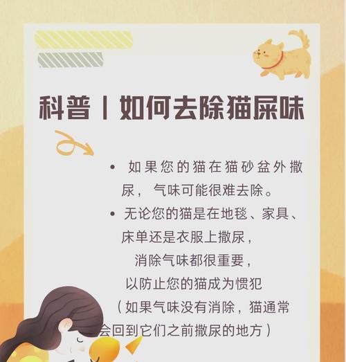 猫粮吃完后身上有异味如何处理？