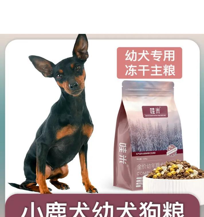 小鹿犬幼犬能吃猫粮吗怎么喂？猫粮对幼犬的影响是什么？
