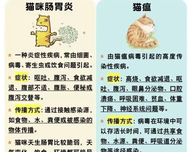 猫经常呕吐不爱吃猫粮？可能的健康问题有哪些？