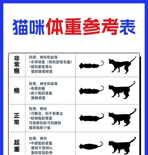 如何准确测量猫粮的克重和猫咪的体重？
