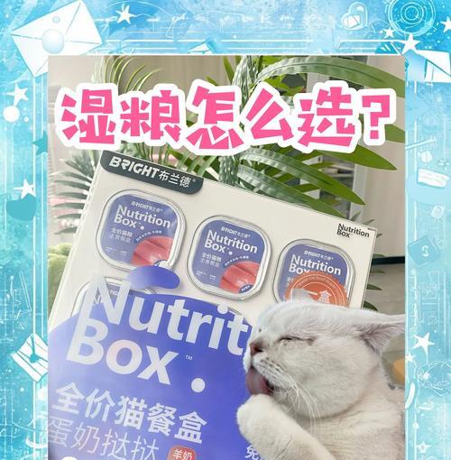 幼猫湿粮更换步骤是怎样的？需要注意哪些事项？