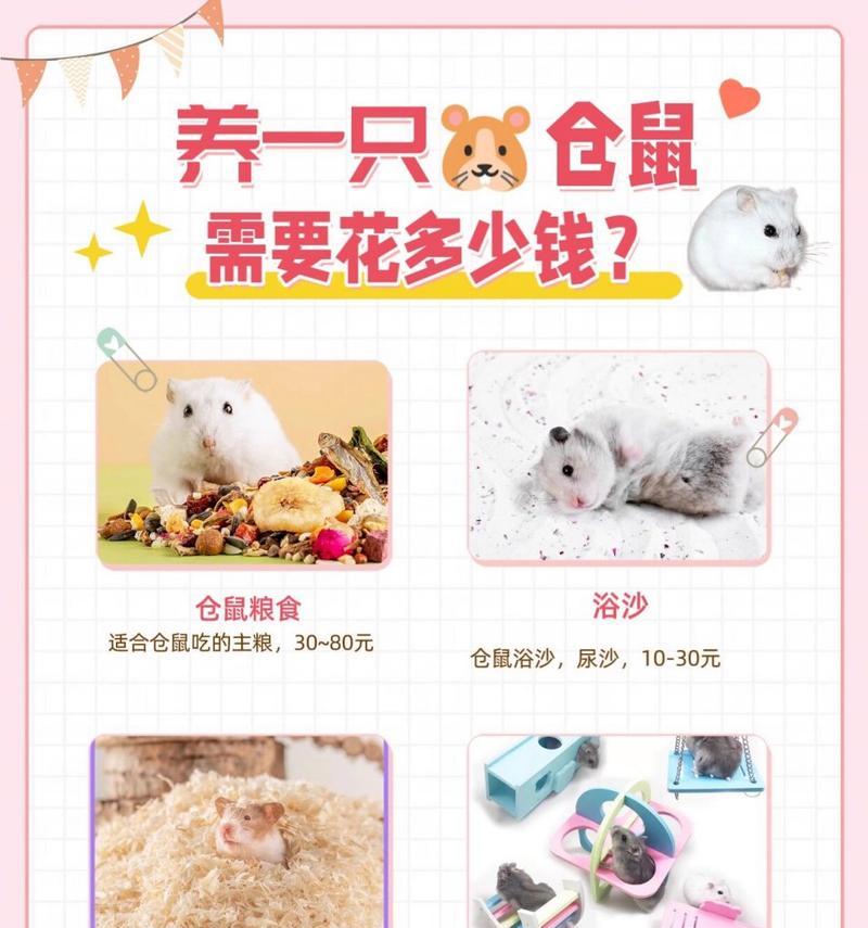 在地摊上买仓鼠怎么挑选呢？如何确保仓鼠的健康？