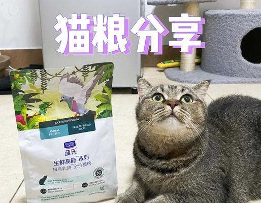 哪些鸟类喜欢吃猫粮和鱼类？如何喂食？