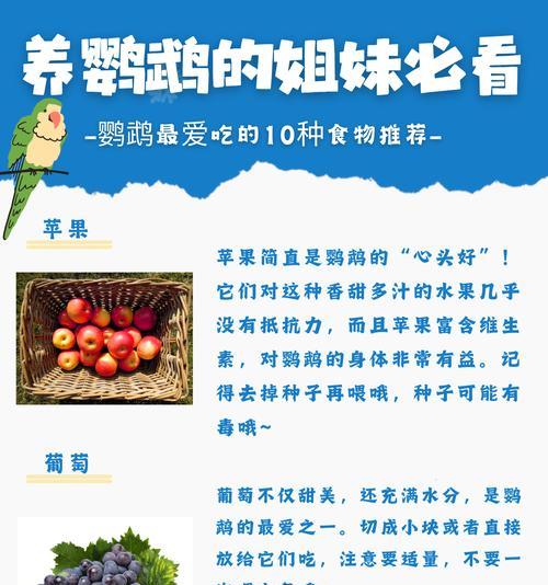 哪些鸟类喜欢吃猫粮和鱼类？如何喂食？