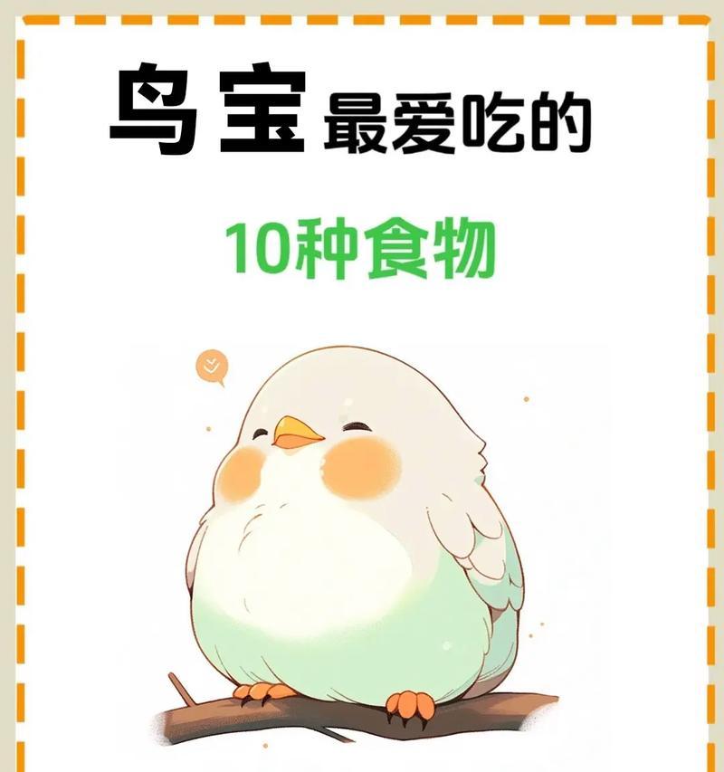 哪些鸟类喜欢吃猫粮和鱼类？如何喂食？