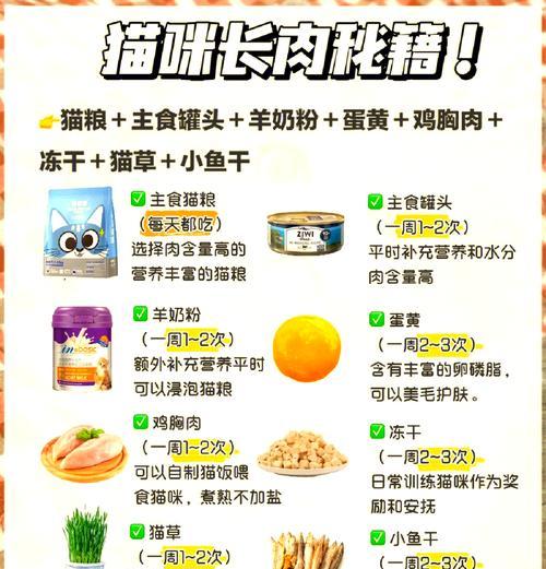 生肉喂养转换指南：猫粮到生肉的正确步骤？